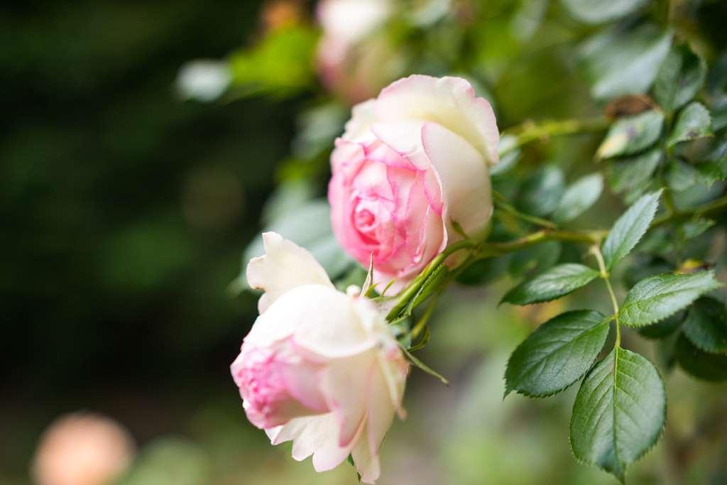 The Originals Boutique, Hotel Terminus, Bourg-En-Bresse Gare Ngoại thất bức ảnh